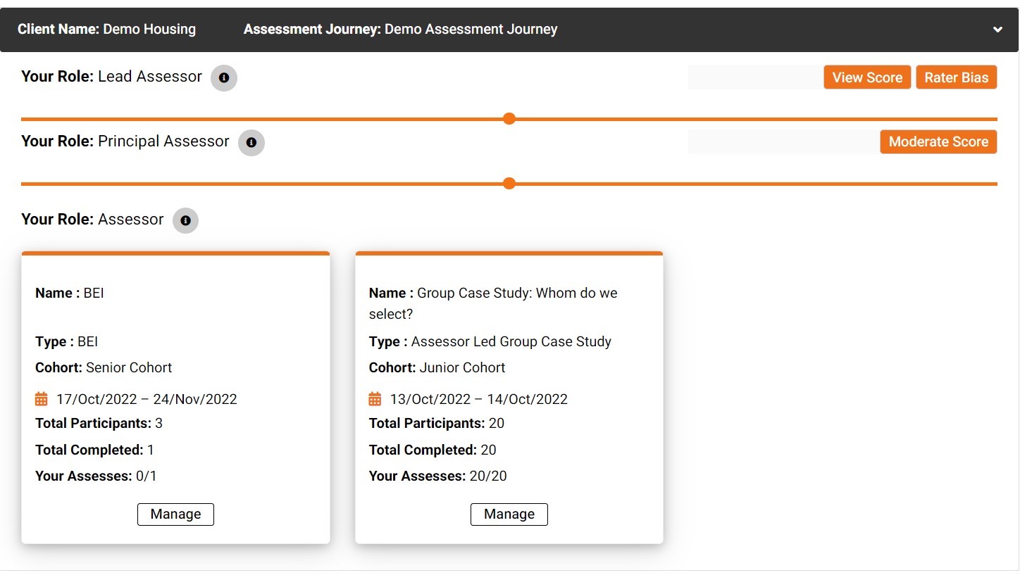 Detailed assessor talent assessment tools