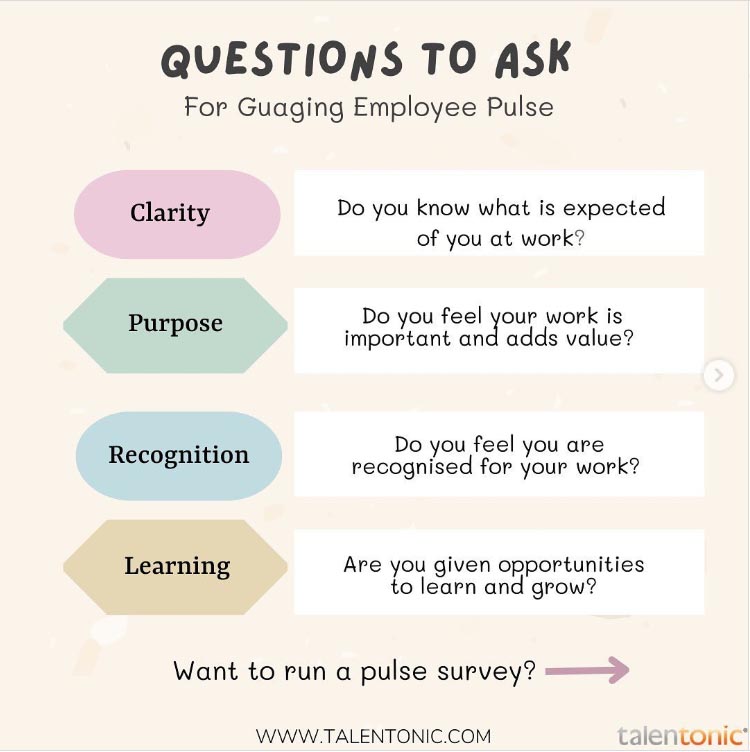 plus survey
