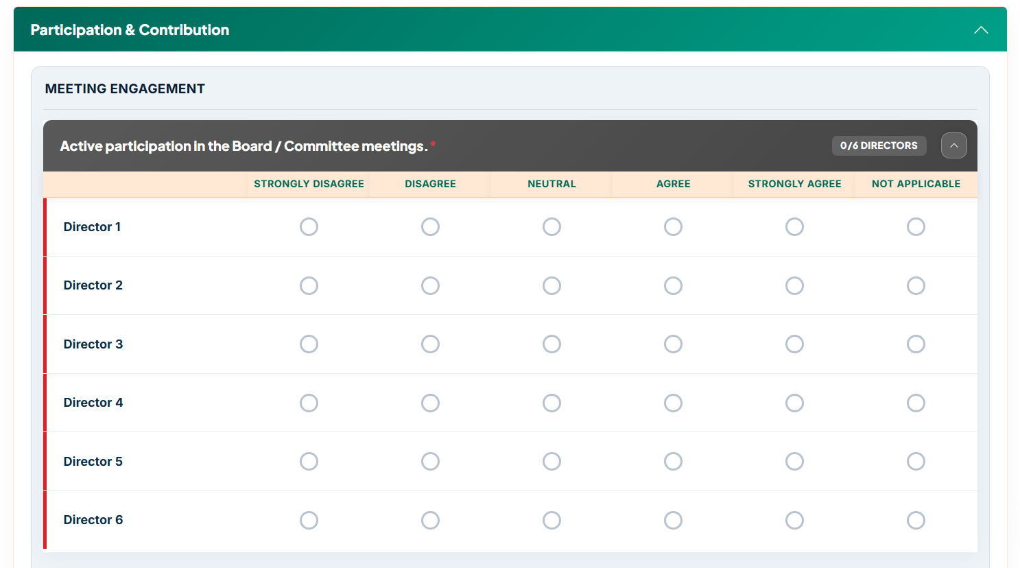 Individual Director evaluation screenshot